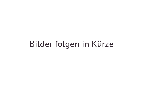 Reiten