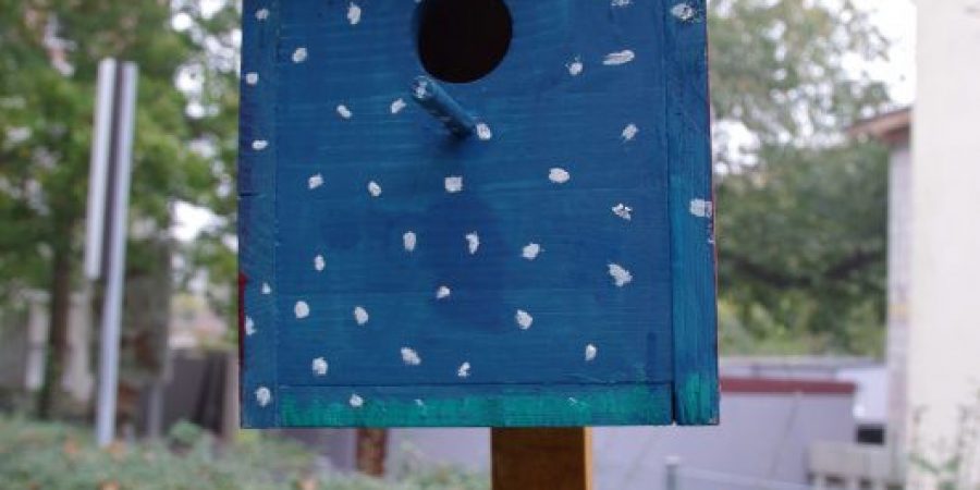 Vogelhaus_blau_www Vogelhaus_blau_www